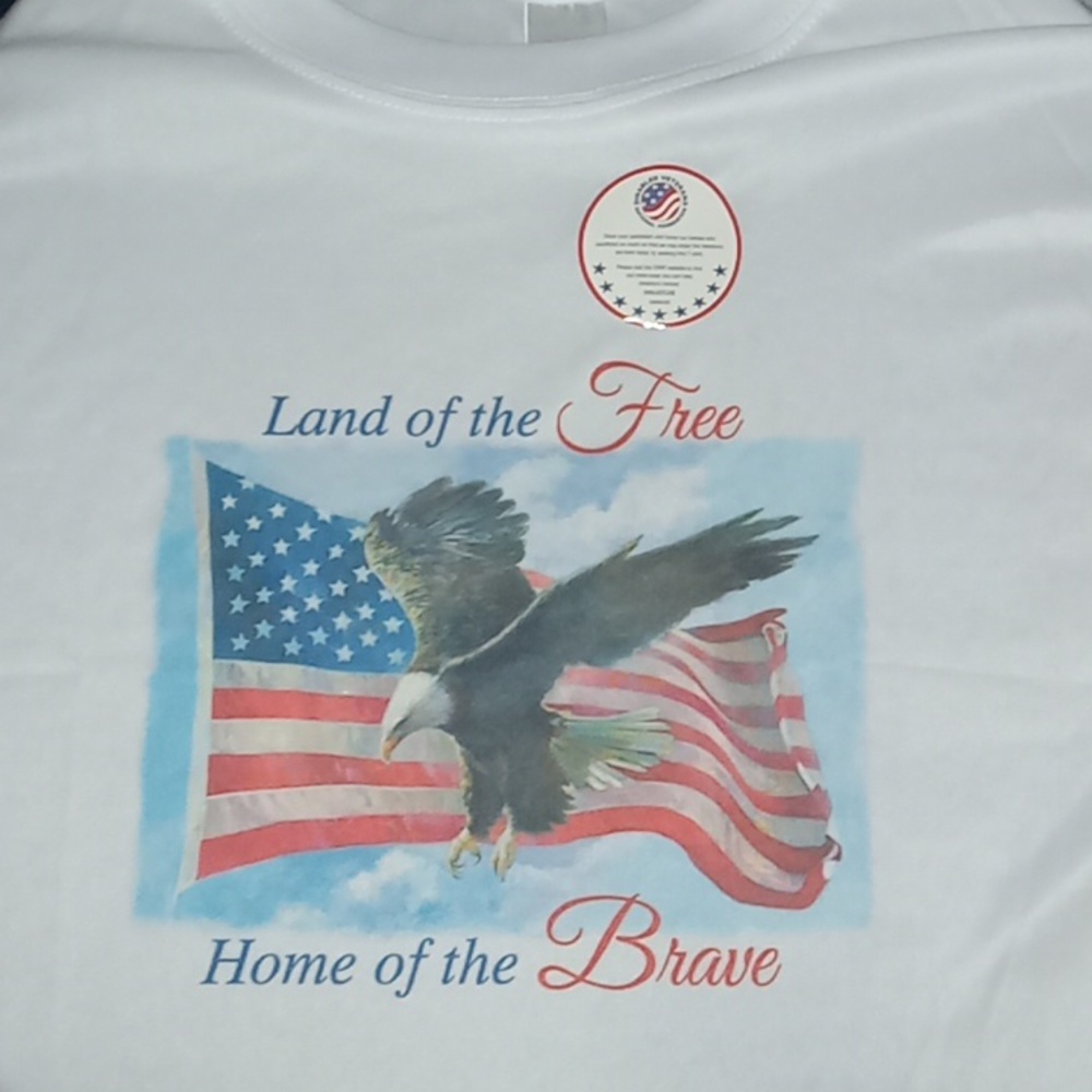 Mens large usa eagle patriotic shirt